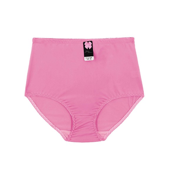 Women’s Solid Color Stretch Panties Elastic Waist Multicolor 12 Pack of Briefs