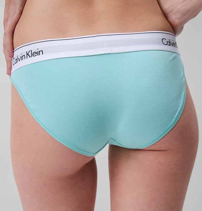 NWT Calvin Klein F3787 “Modern” Logo Cotton Bikini, Light Teal (336)