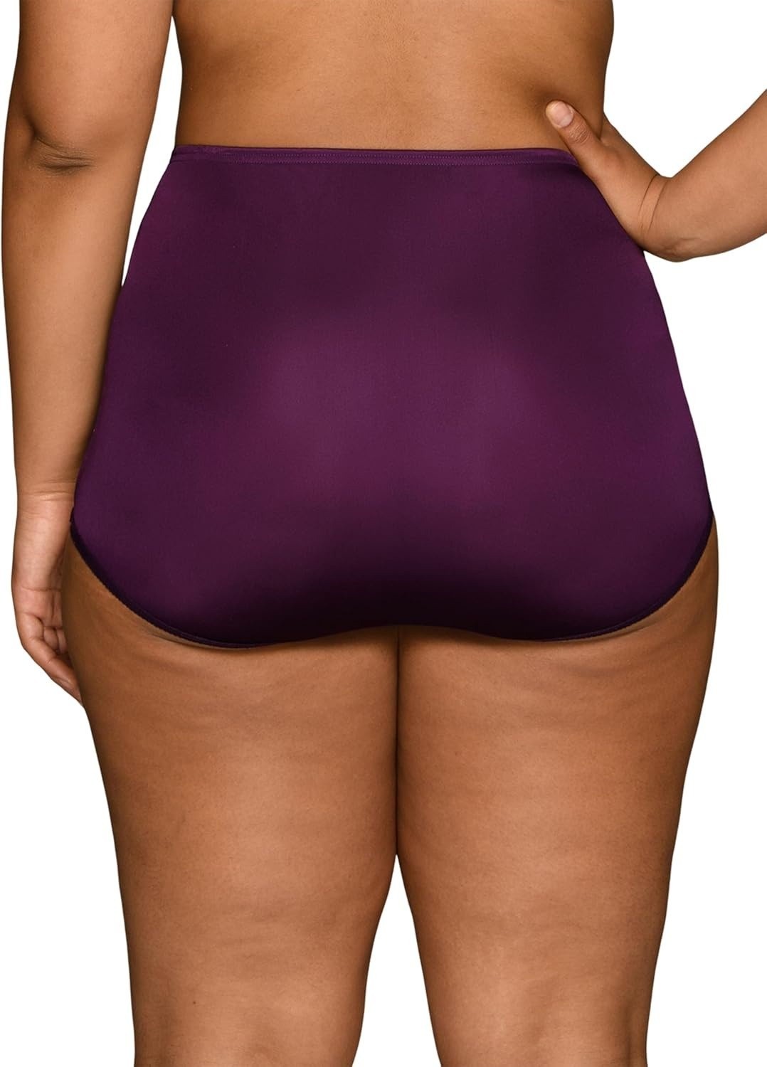 2 Pack VF Perfectly Yours Ravissant Brief Panty 15712 Sangria Sz 9 NWT
