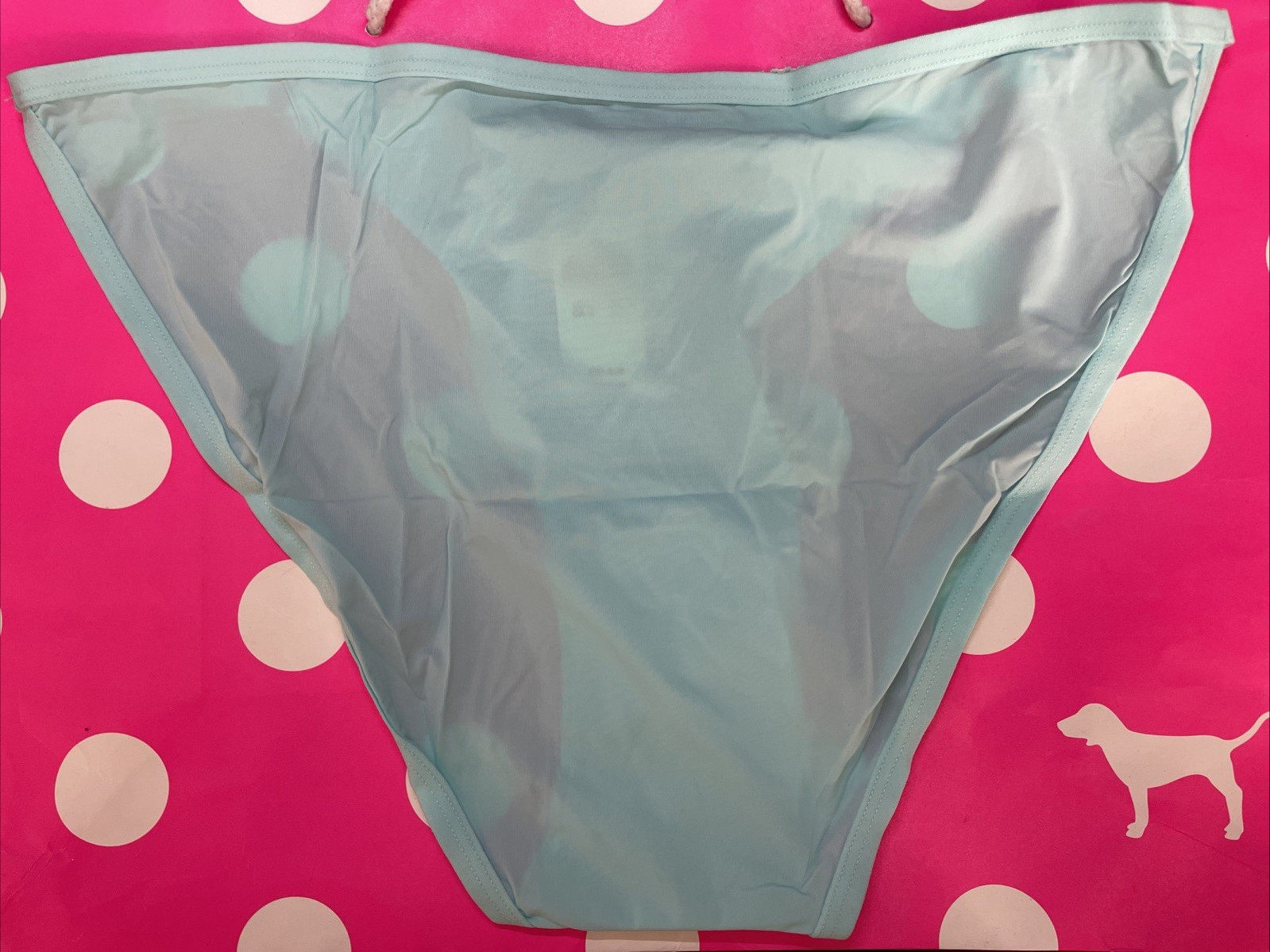 AERIE AMERICAN EAGLE Nylon SMOOTH Super Slick SPANDEX STRING BIKINI PANTIES L