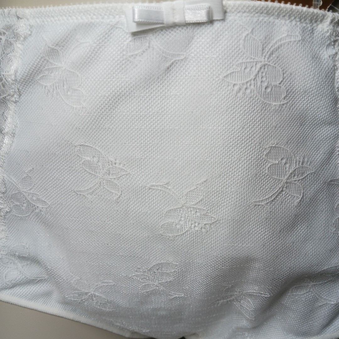 Chantelle 2XL Milk Brief Embroidered Stretch Panties FLORAL LACE Born In France