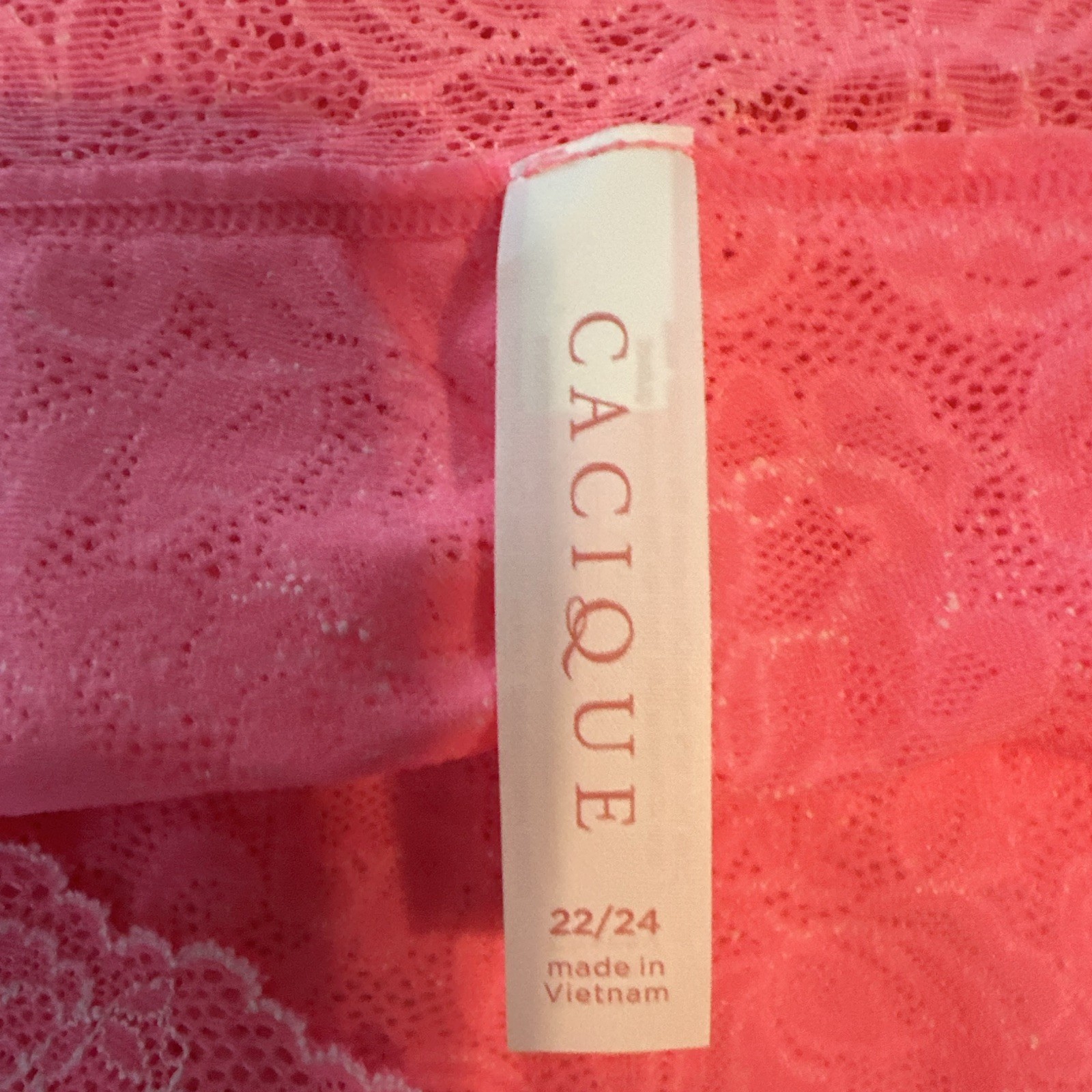 Cacique Women’s Plus 22/24 Pink Floral Lace Cheeky Panties Stretch 1 Pack