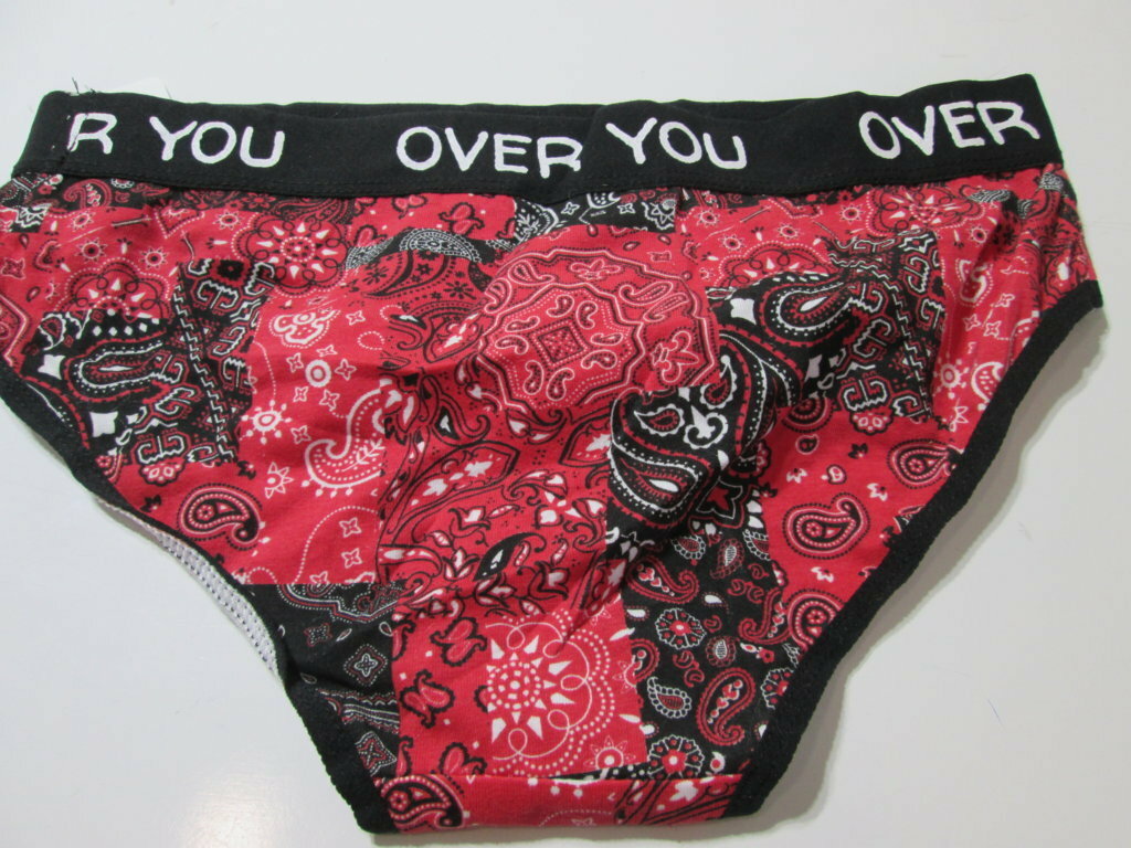 Rue 21 Womens Size XS/S Panty Boyshort Red Paisley Stretch Lingerie