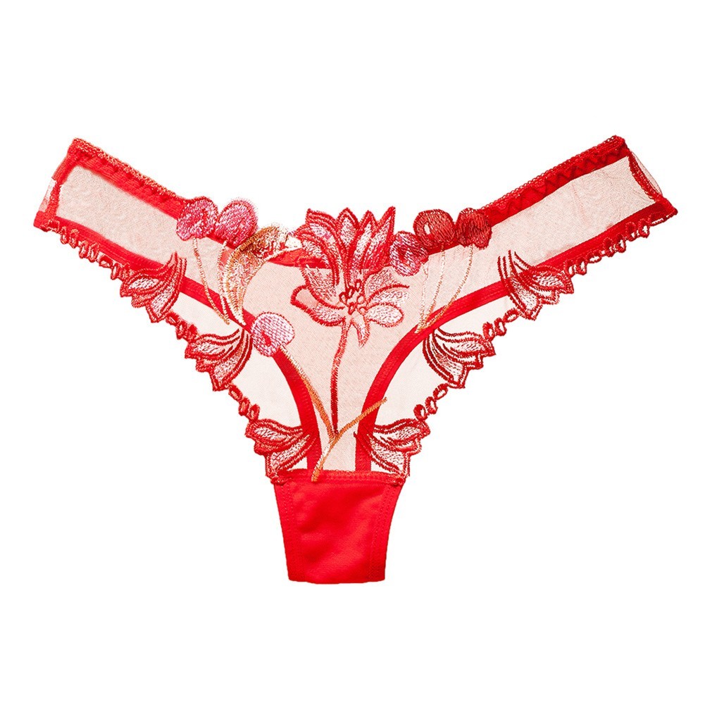 Mesh Transparent Embroidered Women Underwear Triangle Pants Nylon Spandex
