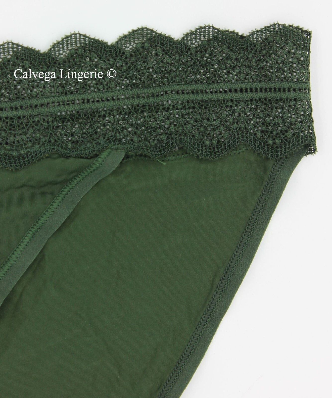 NWT Calvin Klein QD3780 “Micro” Low-rise Microfiber with Lace Bikini, Dark Green