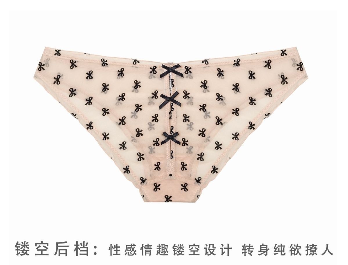 Victorian-style sexy and seductive lace thin women’s underwear Style No. 19