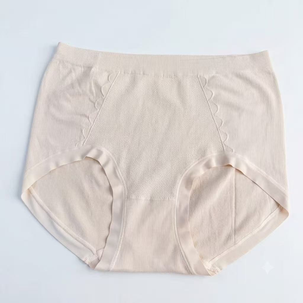 6ps Plus Size High-Waisted Nylon Minimalist Comfortable Women’s Pantie 155-240LB