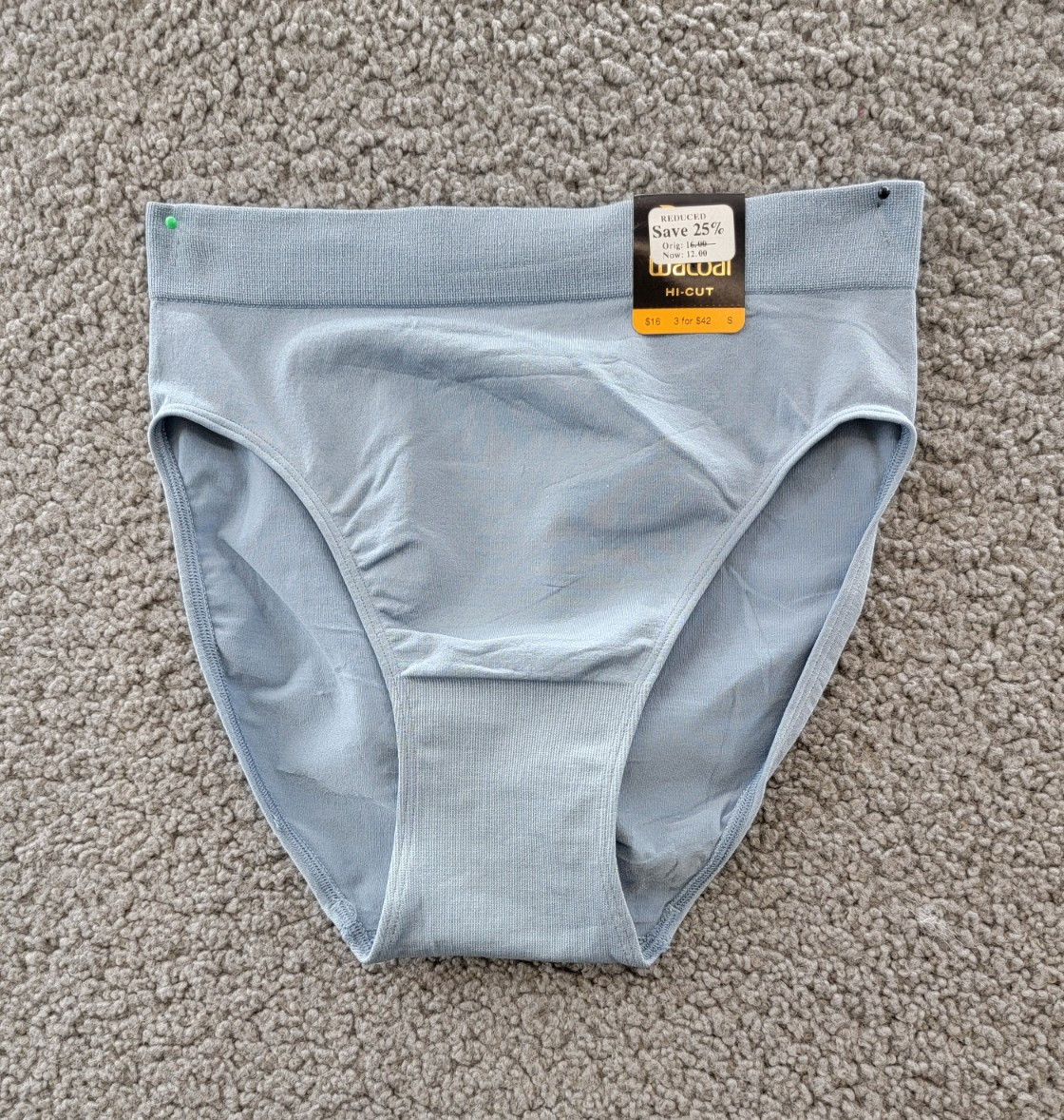 Wacoal B-Smooth Seamless High-Cut Brief Underwear Women’s 5-S Windward Blue