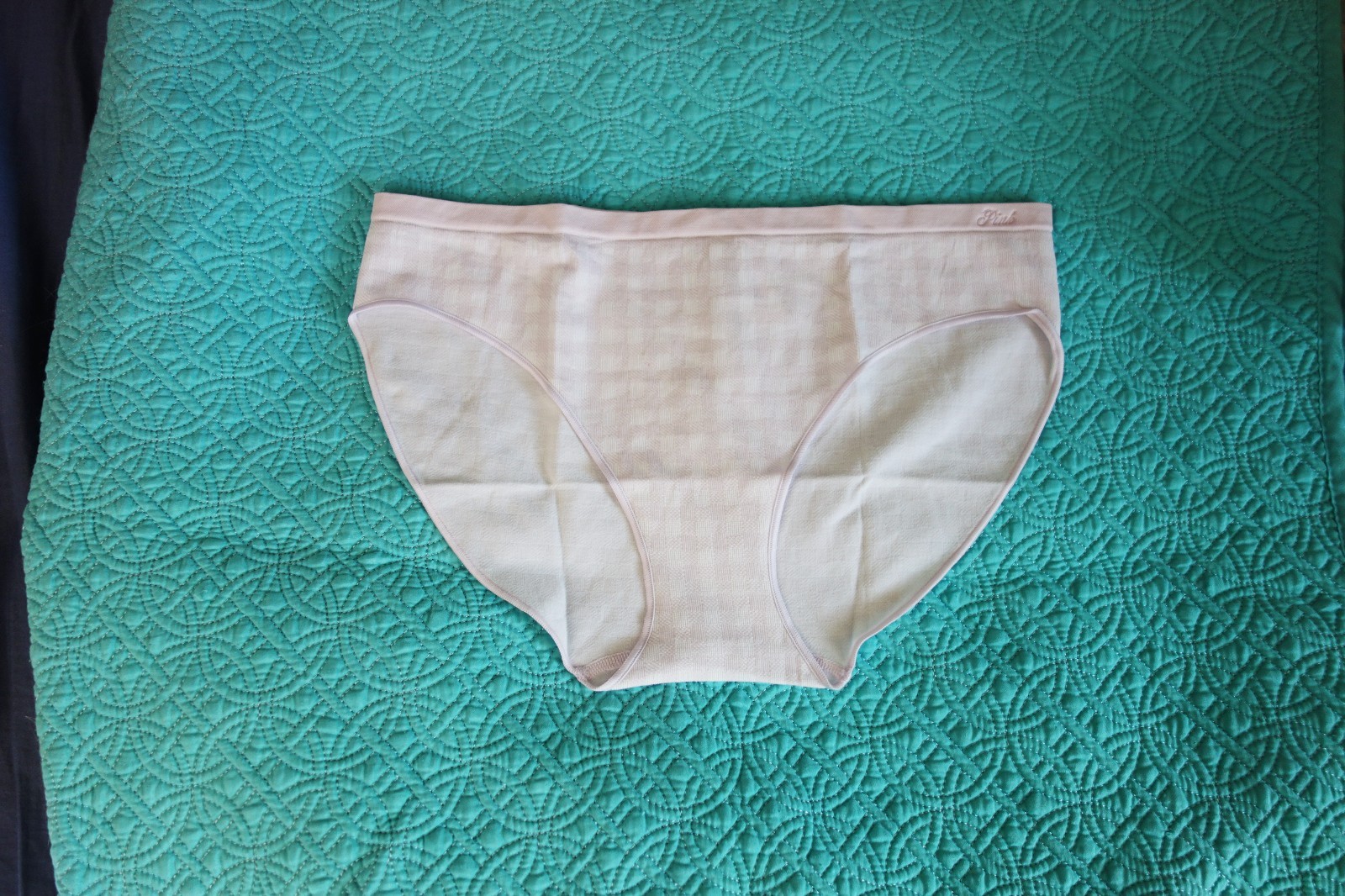 Victoria’s Secret PINK Seamless White and Purple Gingham Bikini Panty (L) NWT!