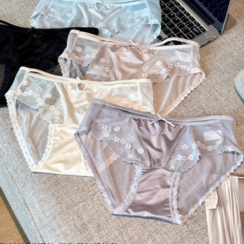 5 Pack Lot Womens Satin Sheer Panties Underwear Sexy See Through Lingeries Brief
