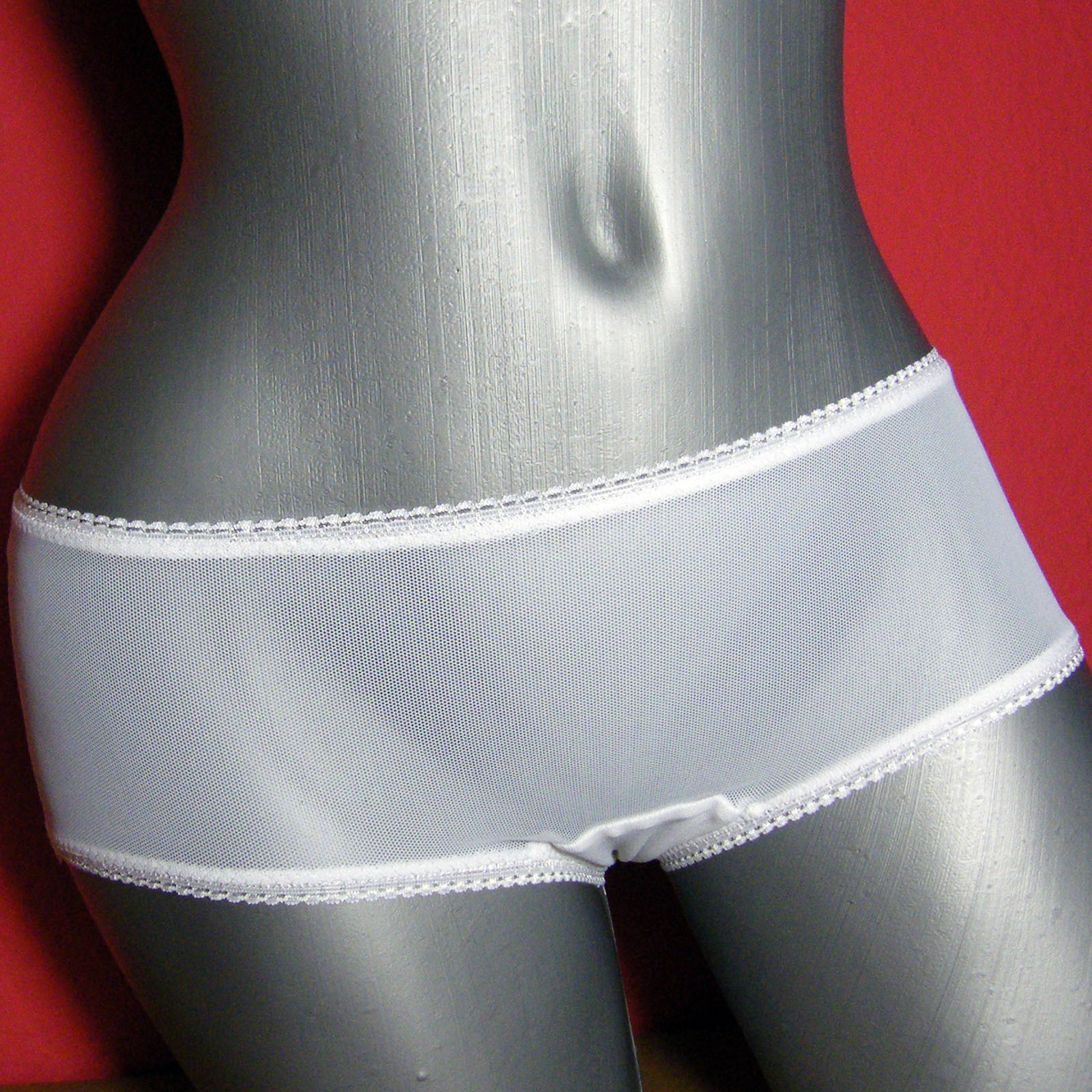 Women’s panties briefs-mesh/transparent-sizes 32/34, 36/38, 40/42, 44/46