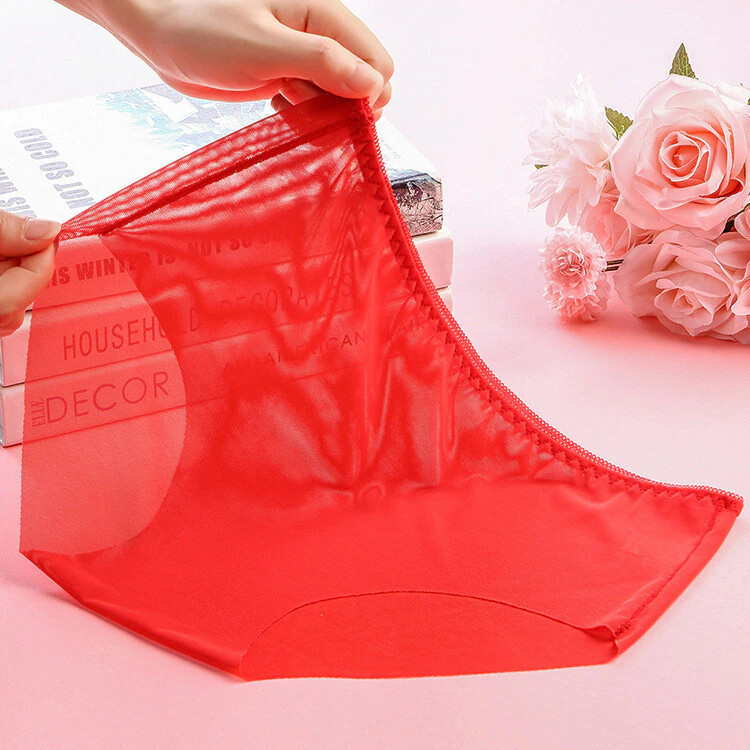Vintage Style Sheer Transparent Nylon Panties Retro – Various colours and sizes