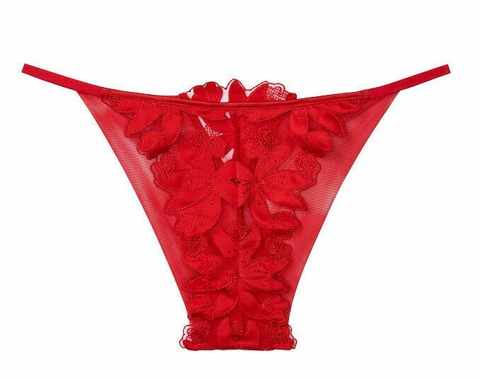 Victoria’s Secret LUXE LINGERIE Floral Embroidery Brazilian Panty XL Red