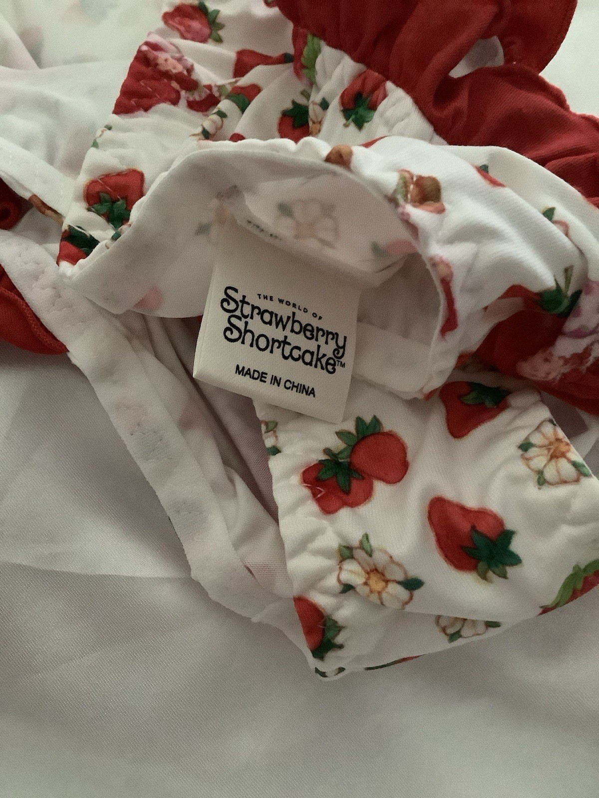 Strawberry Shortcake Licensed Women’s Teen Kawaii Bikini Panties Ruffle Medium