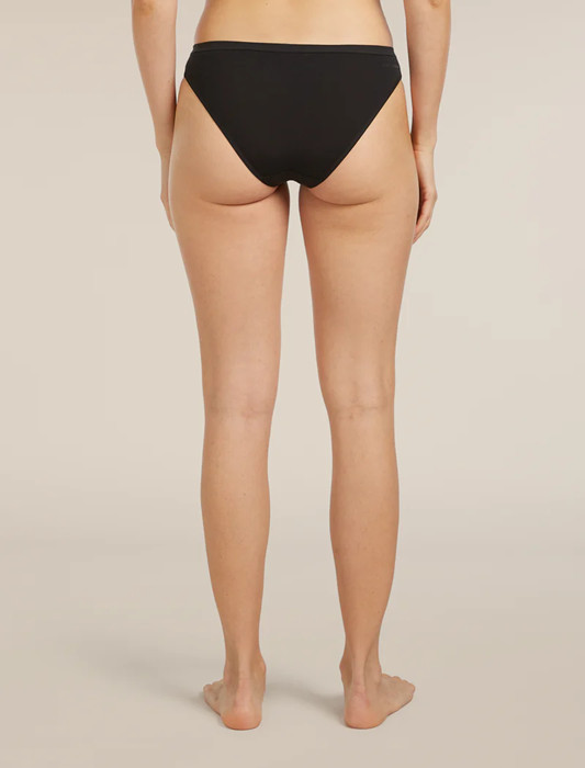 NWT icebreaker Women’s Merino 150 Siren Bikini 2 Pack