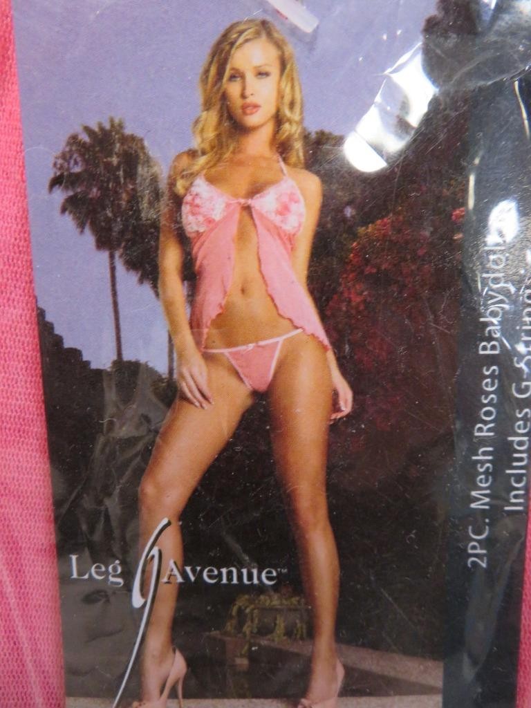 Leg Avenue Plus Size Lingerie Sheer Roses Babydoll and G-String Set Pink