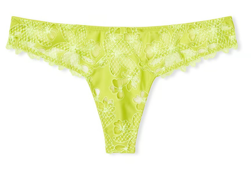 Victoria’s Secret Ziggy Glam Fishnet Lace Floral Embroidery Thong Panty M NWT