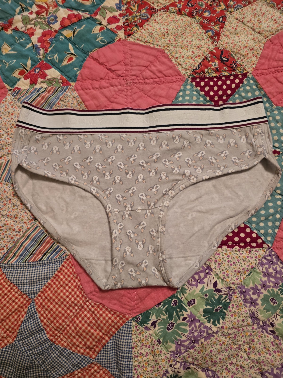 UNIQUE, RARE WOMEN’S JOCKEY SIZE 7/LARGE HIPSTER PANTIES WITH BOSTON TERRIER DOG