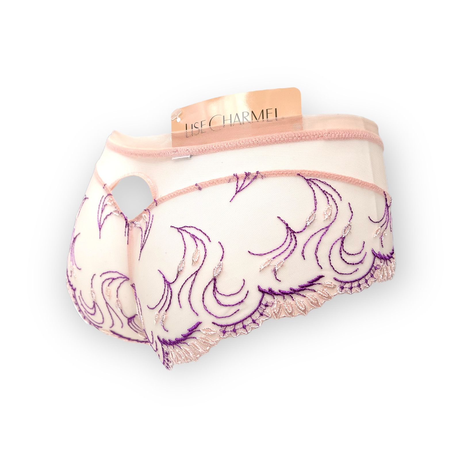 Lise Charmel Hipster Brief Ecrin Desir 36 40 42 XS M L NEW With Tags