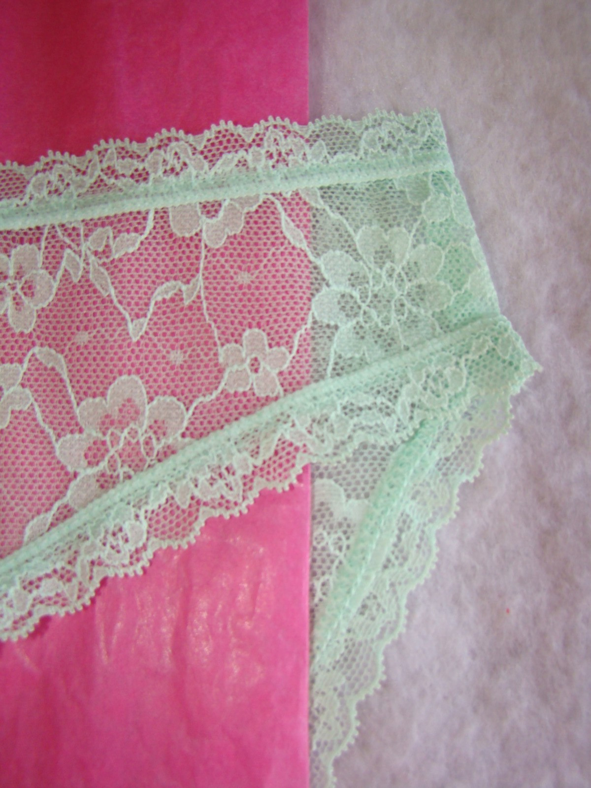 New Victoria’s Secret Pastel Green Floral Lace with Lace Trim Bikini Panty