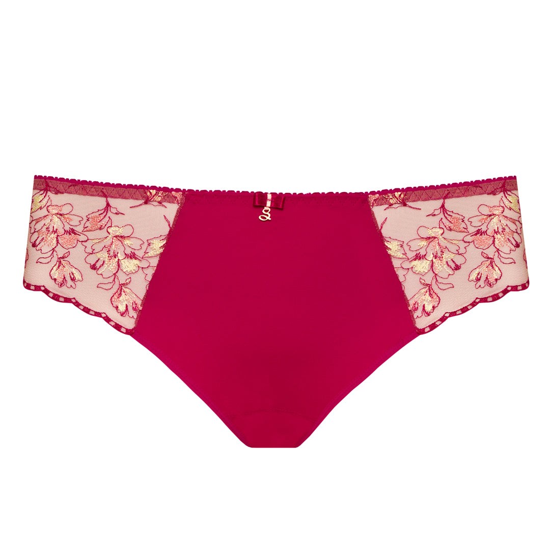 Samanta Daniela Sheer Mesh Tulle Embroidered Bikini Panty New Womens Lingerie