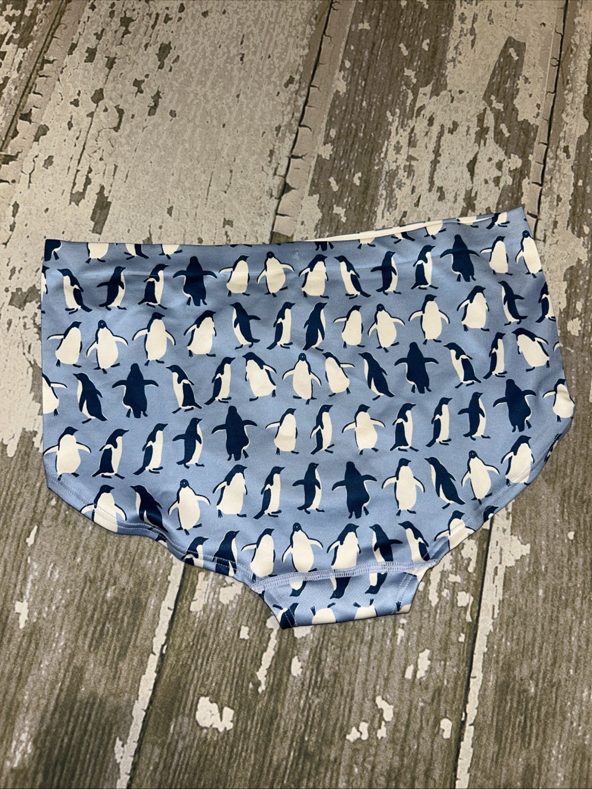 ANTHROPOLOGIE LYREBIRD EMILY TAYLOR PENGUIN UNDERWEAR PANTIES L XL LARGE NWT