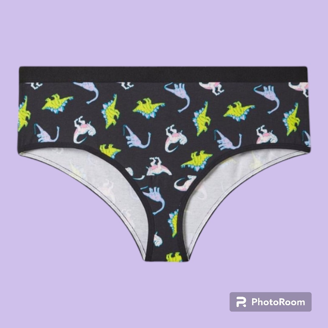 3X 22W 24W Torrid Black Dinosaur Cotton Cheeky Panty Mid Rise Pink T Rex Lingeri
