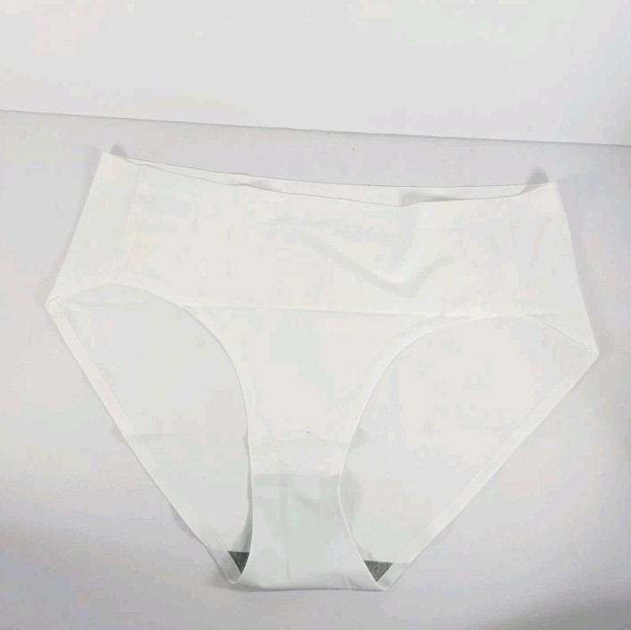Fallsweet Seamless Bikini Underwear X-Large 5 Pack/5 Color New