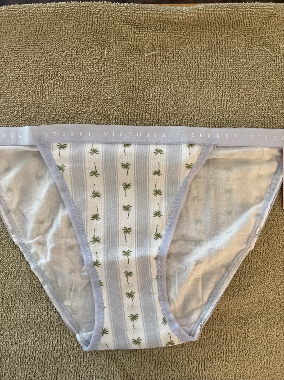 Victoria’s Secret Small Blue Striped Cotton String Bikini Panty