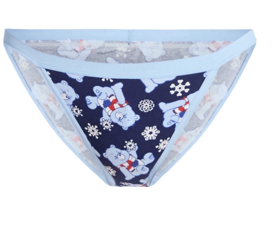 Women’s Care Bears Christmas Bikini Panties, 3-Pack, size XL (16-18)