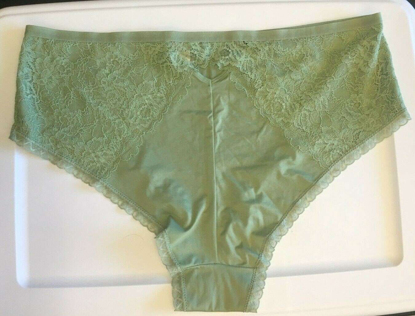 Kiwi Green Smooth Micro Cheeky Panties Womens Size 4X(28-30) Lace Soft Silky NWT