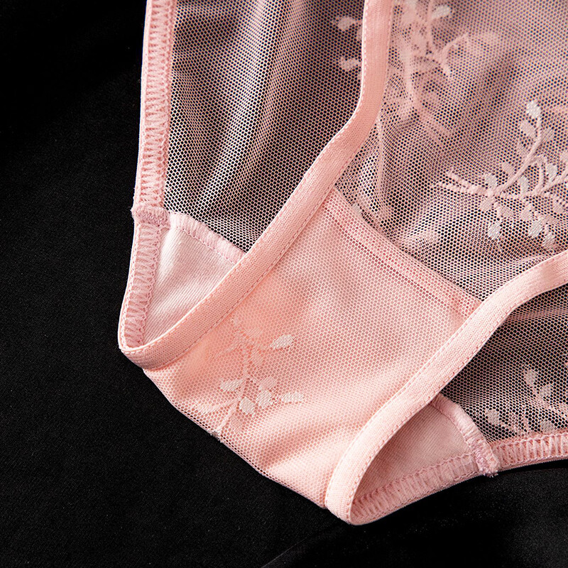 4 Pack Lot Womens Sexy Panties Briefs See Through Lace Sheer Underwear Lingeries