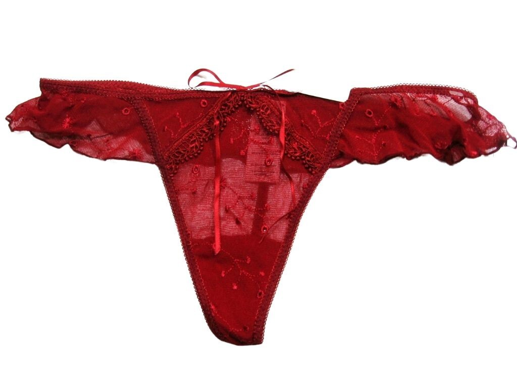 X73 Arianne Lingerie NEW Angel Wings Sheer Embroidery Lace Mesh String Thong L/G