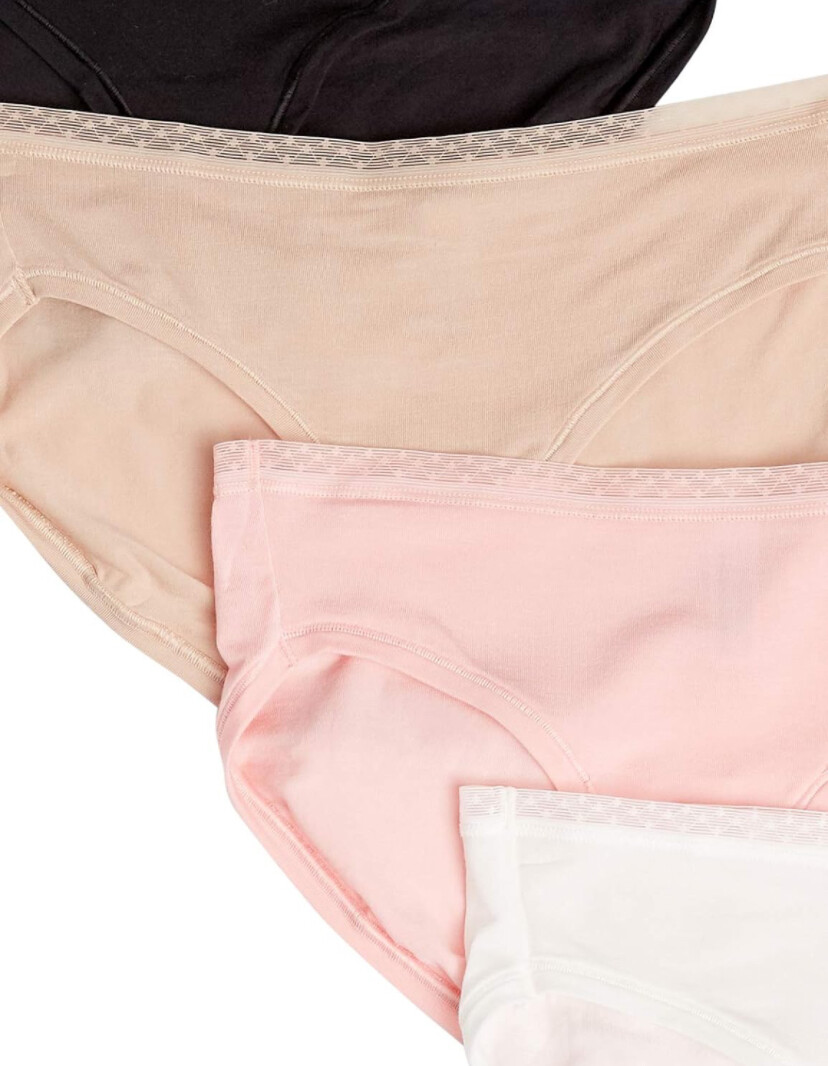 Amazon Essentials Women’s Bikini Underwear, Size L, Pack of 4