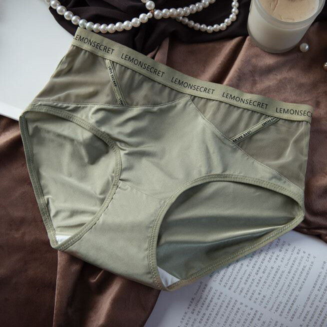 1/5 Pack Lot Women Sheer Satin Briefs Panties Silky Seamless Underwear Lingeries