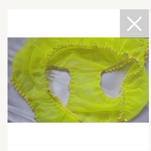 🌸MADE TO ORDER* “Organza see-through ” Sissy Knickers any size&colour 🌸