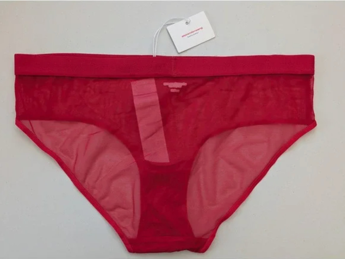 Alexander Wang Classic Briefs Underwear Women’s Size Small L103010