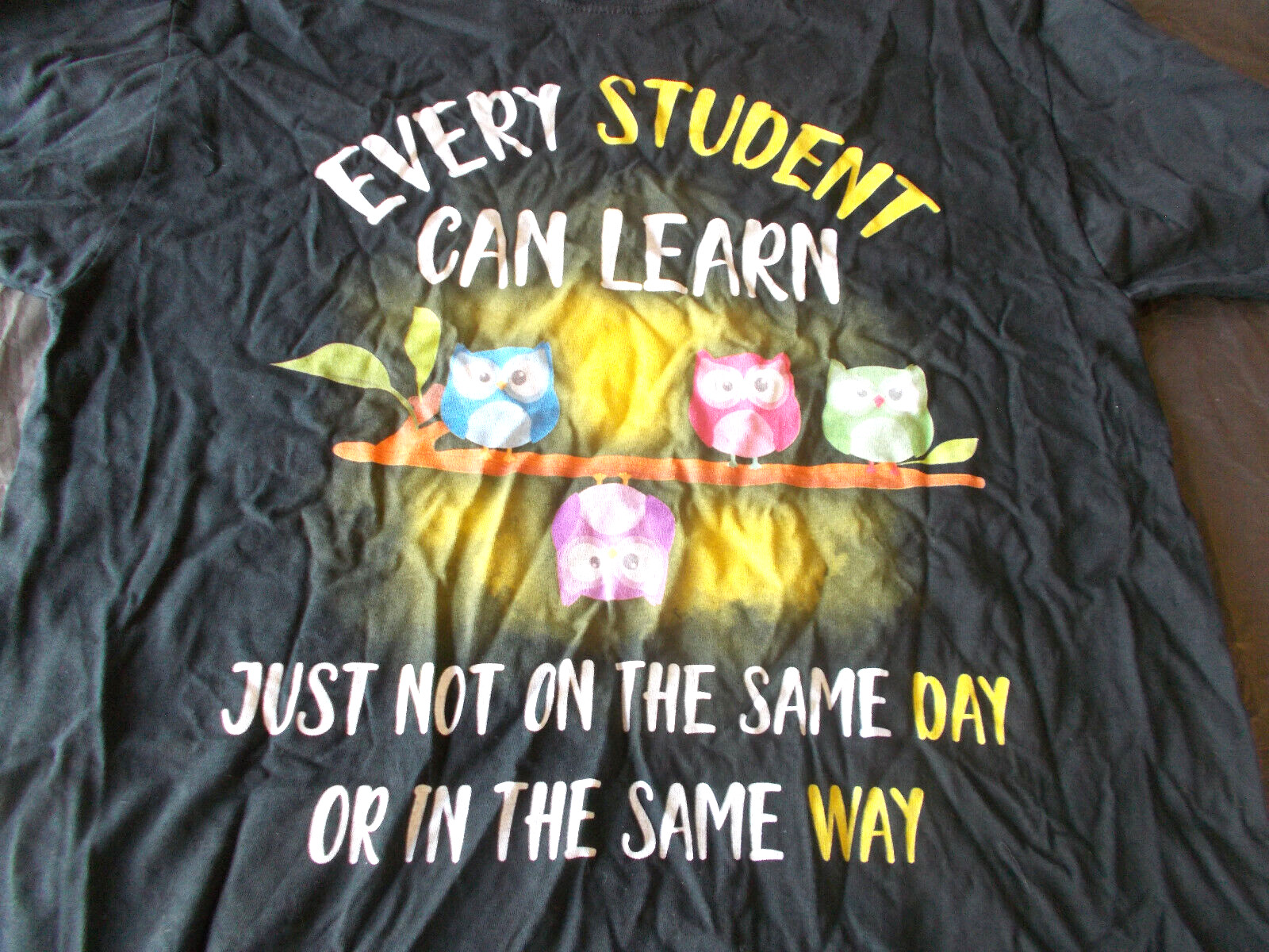 Large-Fruit of the Looms Black T Shirt-Every Can Learn-Owls-Teacher-Inspiring