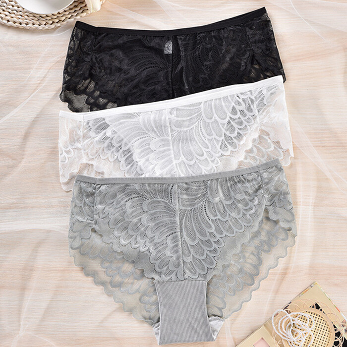 4 Pack Lot Plus Size Sexy Womens Panties Briefs Underwear Lace Sheer Lingeries