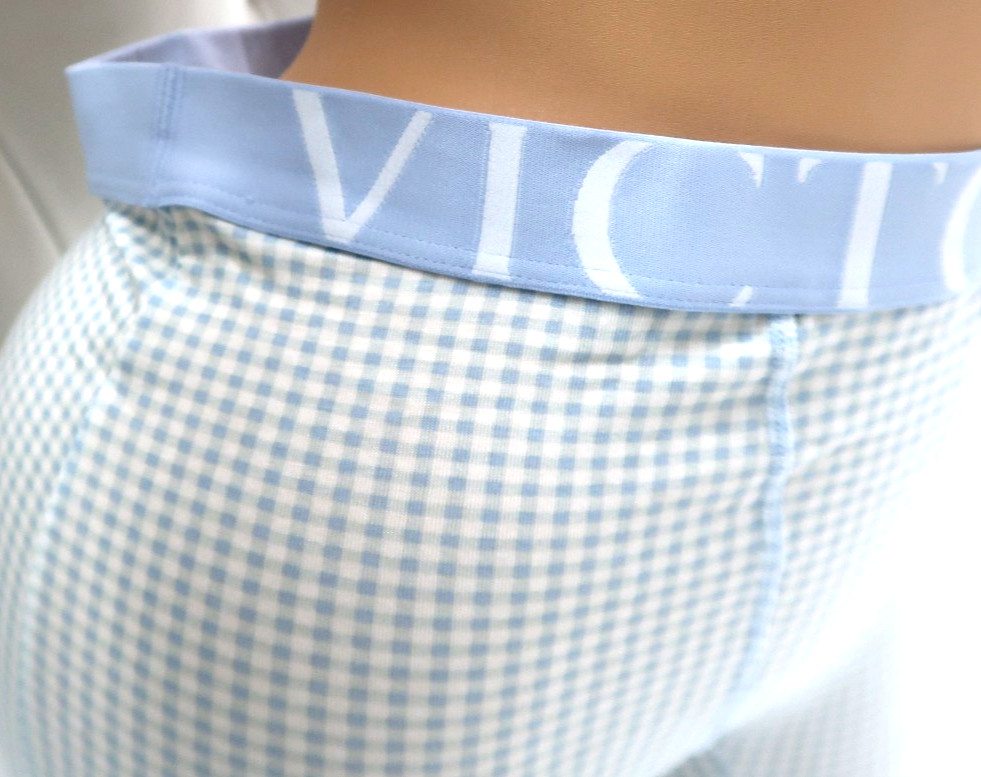 Victoria’s Secret Exploded Logo Cotton/Modal Boxer Brief Panty Blue Gingham NEW