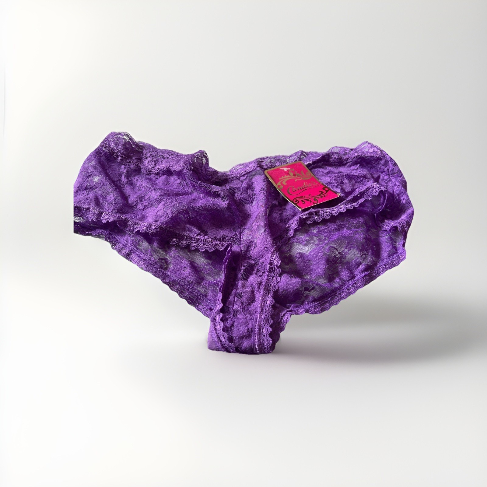 Candie’s Lingerie Intimates Purple SeXy Lace Hipster Panty NWT Large