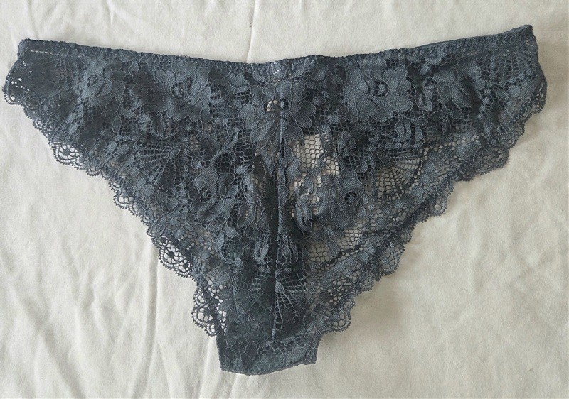 NWT Free People S Lace Storm Water Blue Bikini Underwear 133324
