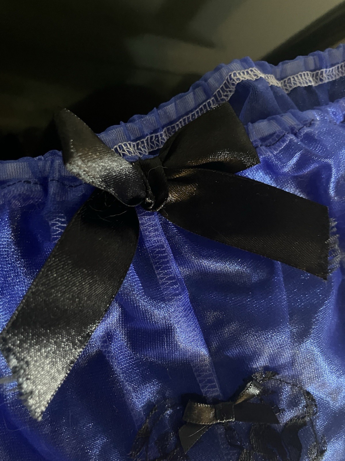 Women’s Sheer Mesh Brief Panties Blue/Black with Lace & Bow, 1 Piece french loon