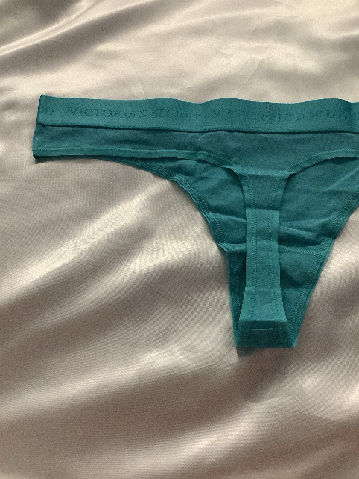 Victoria’s Secret PINK Women’s Thong Panties Band Logo Blue Turquoise 1pk Large