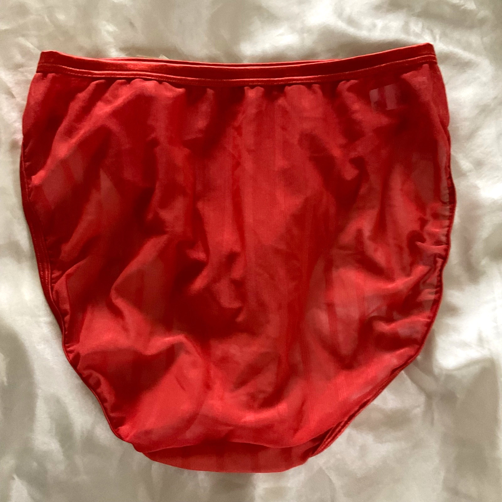 VINTAGE WARNERS THE NAKED TRUTH RED SHIMMERY SHEER BRIEF PANTIES Size 9 NWT