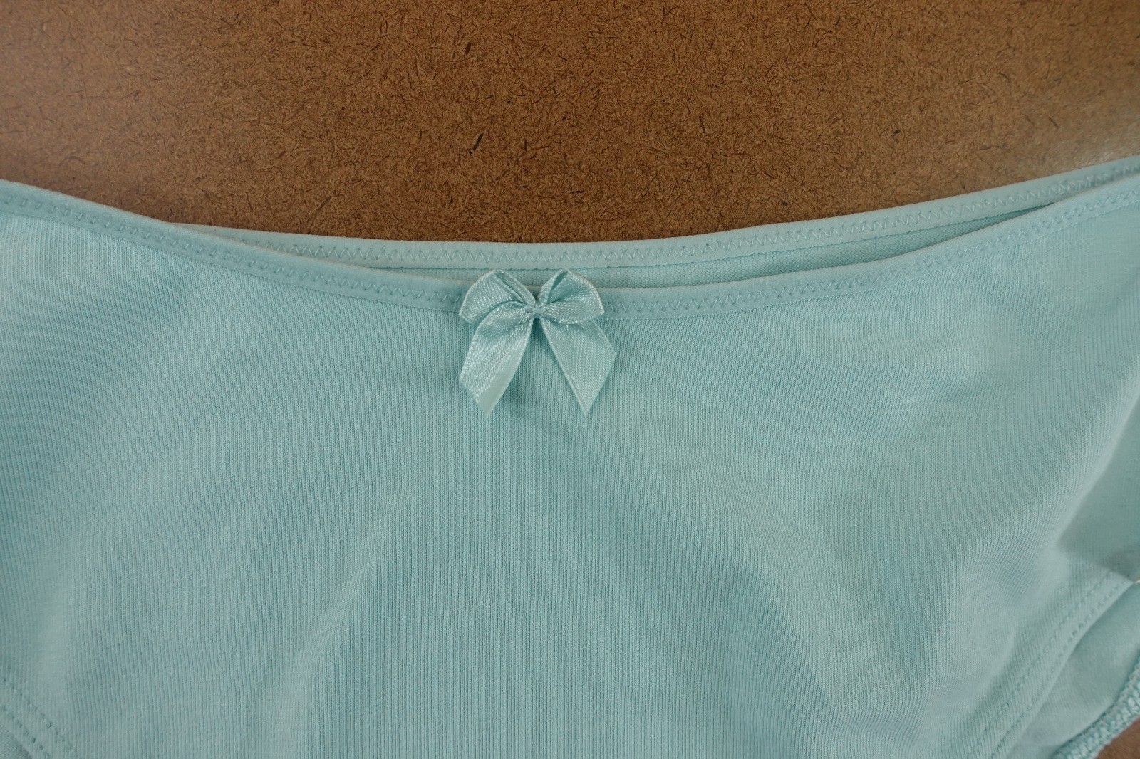 LyreBird Womens Size Large Sky Blue Cotton Cloud Bikini Panty NWT