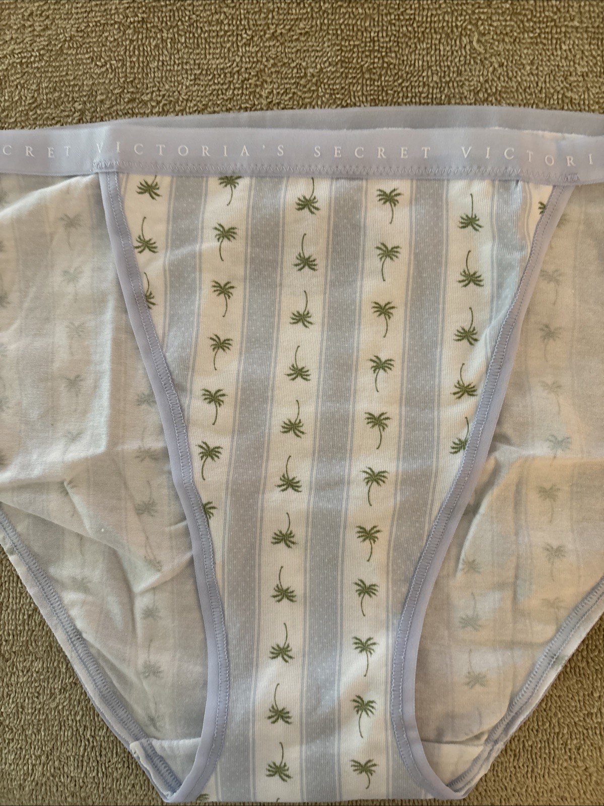 Victoria’s Secret Large Blue Striped Cotton String Bikini Panty