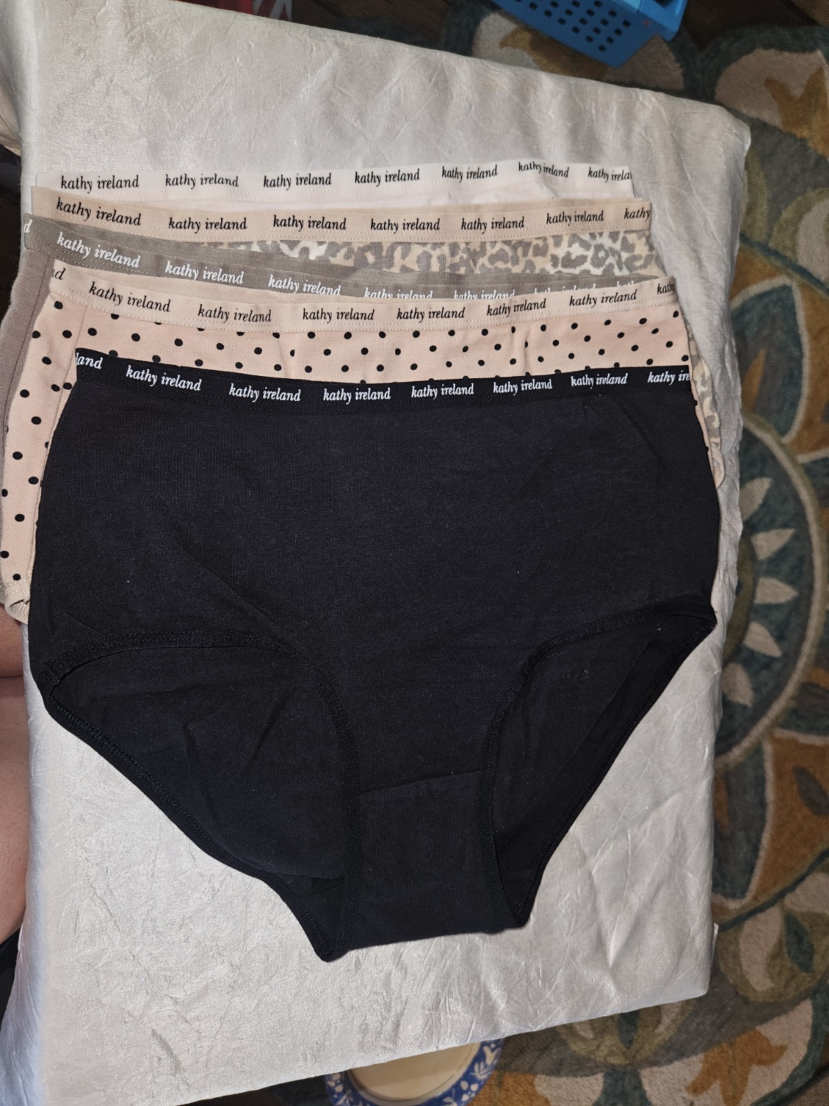 Kathy Ireland ~ Womens Brief Underwear Panties 5-Pair Cotton Blend (C) ~ L