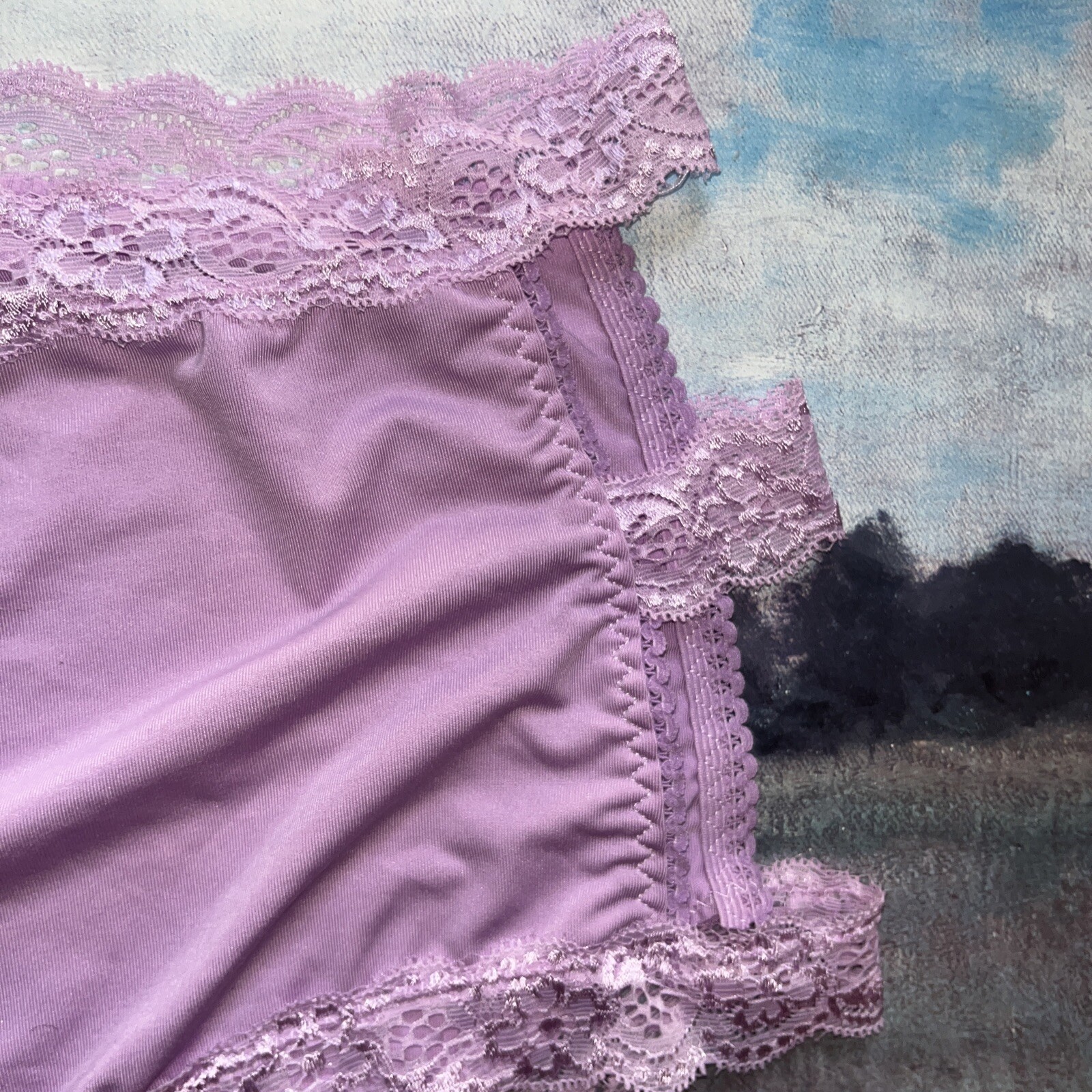 ashley stewart 22/24 Panties Purple