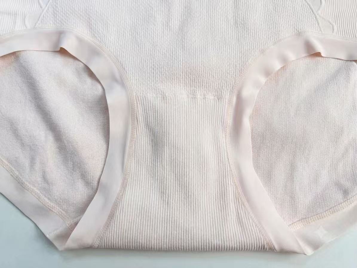 6ps Plus Size High-Waisted Nylon Minimalist Comfortable Women’s Pantie 155-240LB